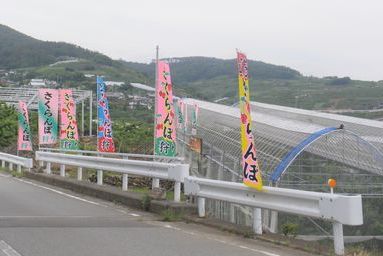 010.JPG