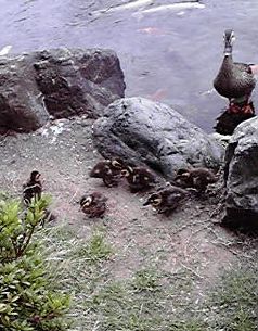 2010051012340001.jpg