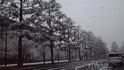 2011021108210000.jpg