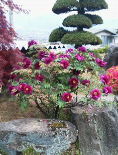 201104261206000.jpg