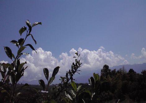 2011071110300001.jpg