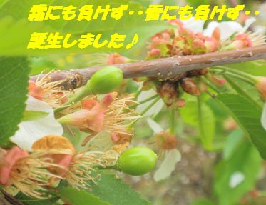 画像 047.jpg
