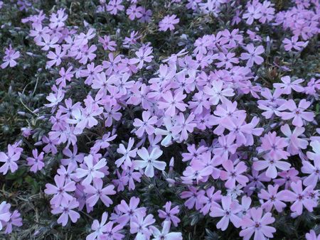 画像 053.jpg