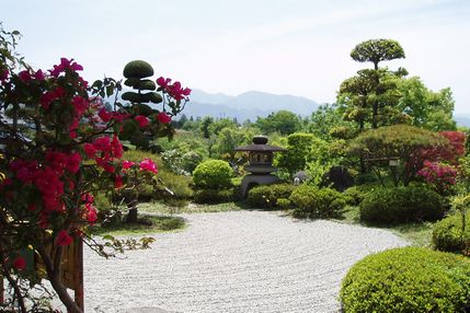 P1010009.JPG