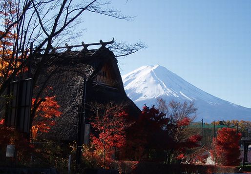 P1010172.JPG