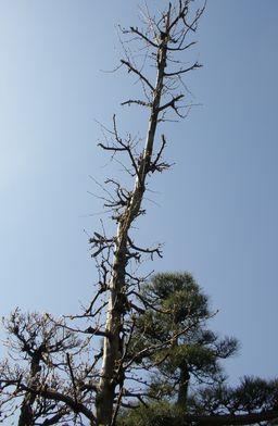 P3190001.JPG