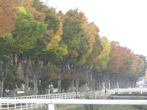 PB070123.JPG