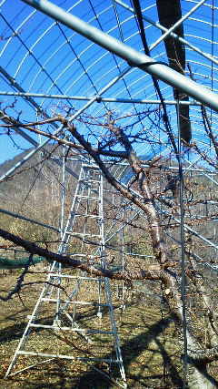 image1.25.2.jpg