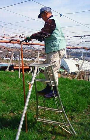 image31.jpg