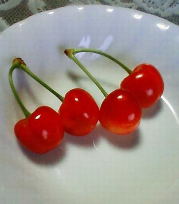 imagehtu.jpg