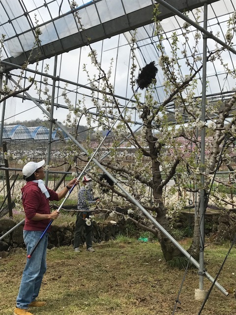 jyufunn17.4.15.jpg