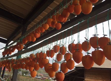kaki15.11.13−2.jpg