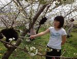 jyufun6.4.1jpg.jpg