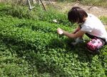 jyufun9.4.1jpg.jpg