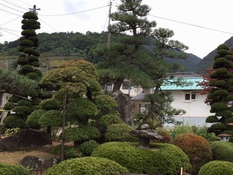 ueki16.10.23-1.jpg