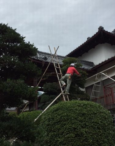 ueki16.10.23-2jpg.jpg