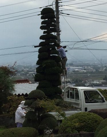 ueki16.10.24.jpg